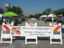 lk Grove Village Farmers Market - http://chicagolandgarden.com/