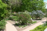 Lilacia Park 9 - http://chicagolandgarden.com/